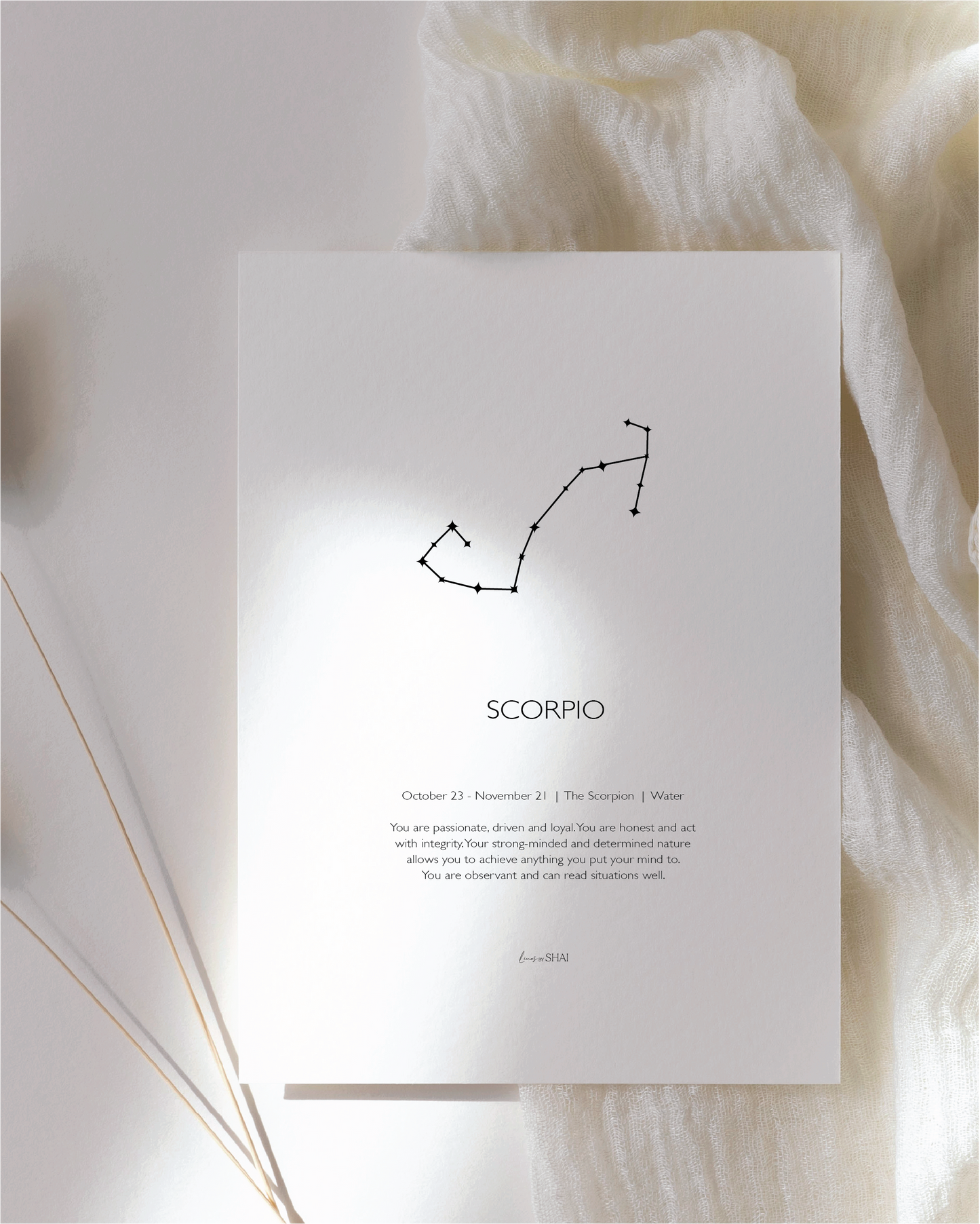 Constellation Zodiac Print