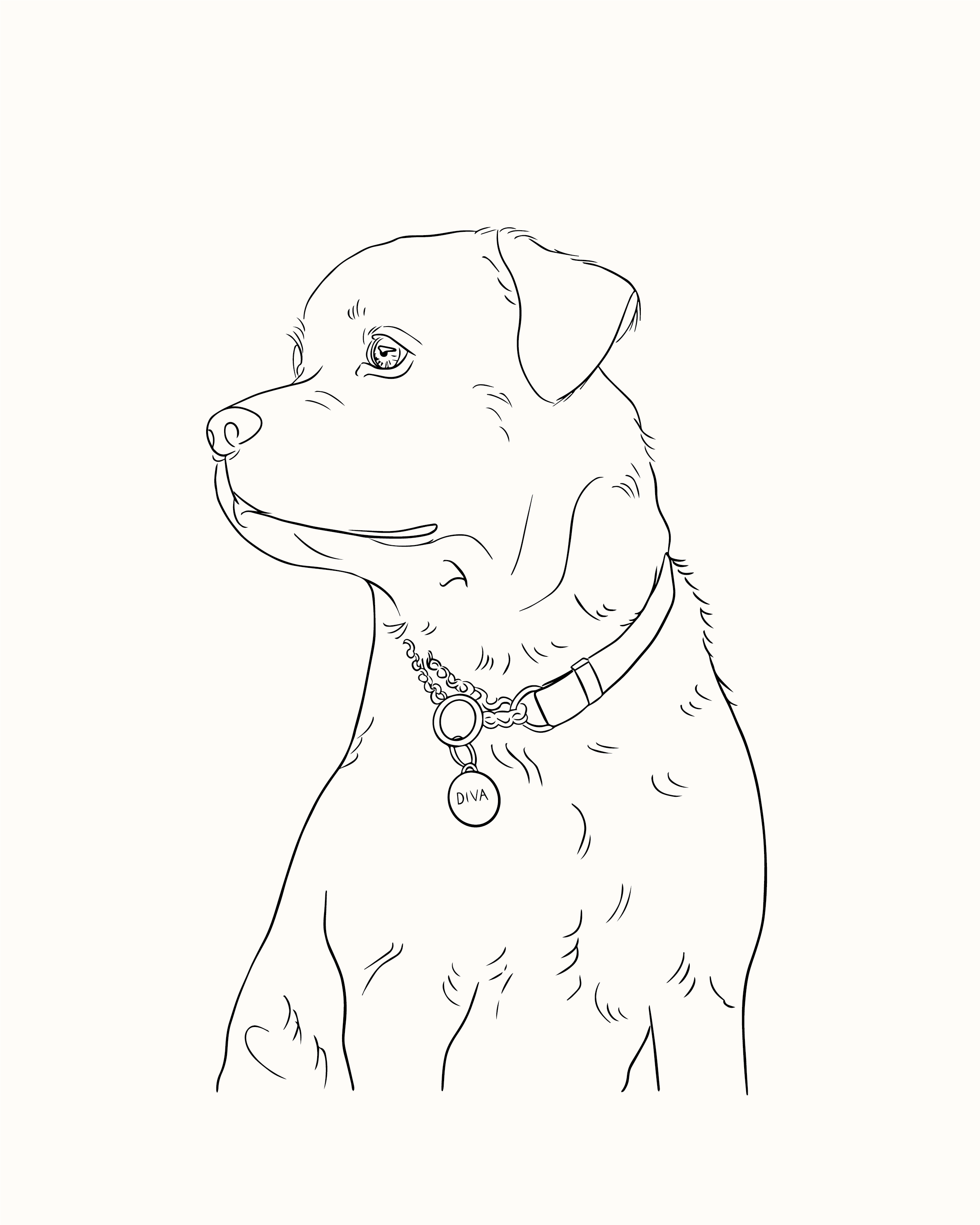 Custom Line Drawing – Lines by Shai
